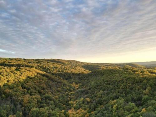 an aerial view of a forested area with trees at Pas de Baoussac in Salayrac
