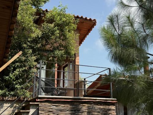 Κήπος έξω από το Cabaña Ciervo Tapalpa