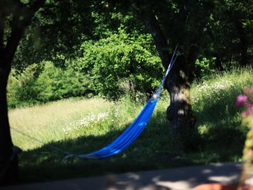 a blue hammock hanging from a tree in a yard at Pas de Baoussac in Salayrac