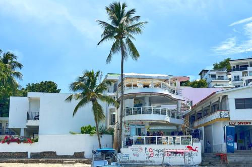 a palm tree in front of a building at Arkipelago Divers and Beach Resort in Puerto Galera