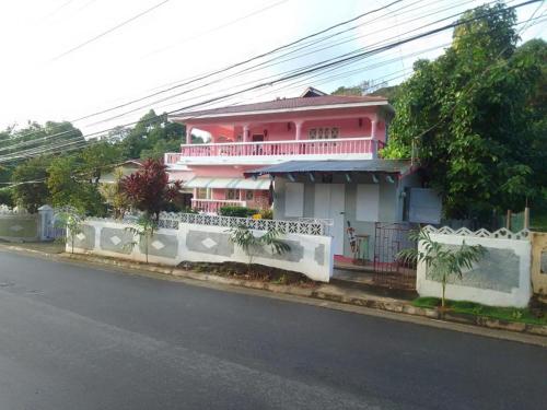 a pink house on the side of a street at Pink flamingo in Port Antonio
