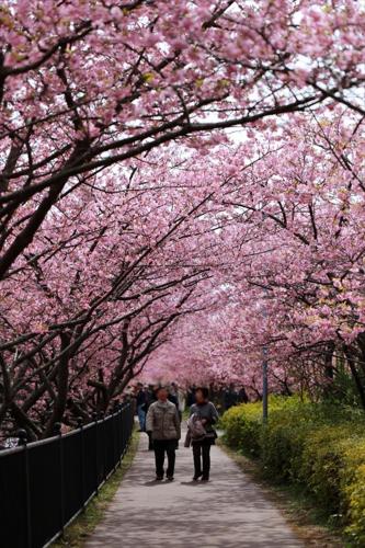 Hosté ubytování Izu Imaihama Tokyu Hotel