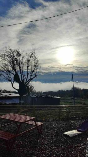 a picnic table and a tree in a field at Muddy-Tales I Your cob home in Bīr