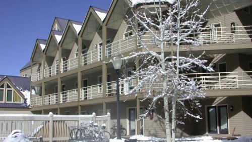 a building with a snow covered tree in front of it at Viking Lodge 103 by AvantStay Stunning Condo Near Ski Lift in Telluride