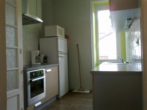 La cuisine est équipée d'un réfrigérateur blanc et d'un évier. dans l'établissement Apartment Coecilia, à Ax-les-Thermes