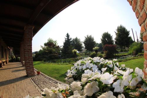 a bunch of white flowers sitting next to a building at Le Soleil in Vigone