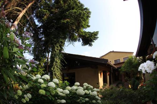 a garden with white flowers in front of a house at Le Soleil in Vigone