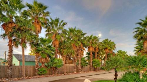 a row of palm trees in front of a fence at Pool Walk to Old Town Eateries Nightlife Shopping Rock N Reelby AvantStay in Port Aransas