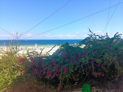 Brightness meka Apartment seaview sunlight