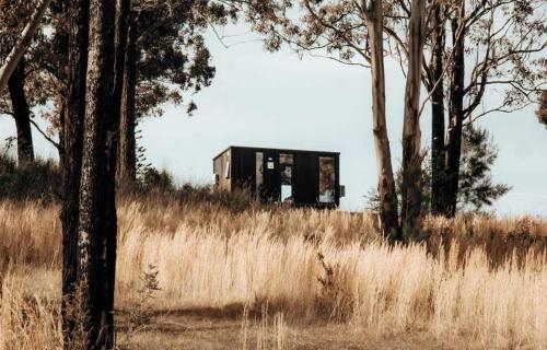 a house sitting on top of a hill with trees at Three-Kalm & Four-Sol by Tiny Away in Tallwoods Village