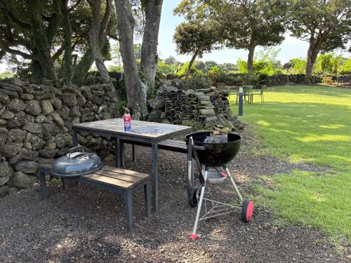 a picnic table with a grill and a bbqarmaarmaarmaarmaarma at Imjingotaek Hanok Stay Jeju Traditional House LP Cozy House, Wagon stay at Imjingotaek in Jeju