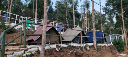 a group of tents in a forest with trees at Tentopia in Suryanelli