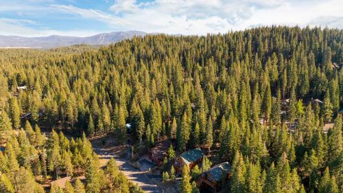 an aerial view of a forest of trees at Golden Summit by AvantStay Stunning Secluded Cabin w Access to Tahoe Donner in Truckee