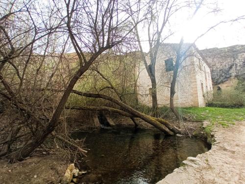 a bridge over a river with a branch in the water at La Cerca Entre Hoces-10-20pax-Amplios espacios comunes in Sebúlcor