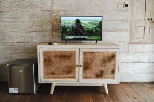 Televisi dan/atau pusat hiburan di Java Wood