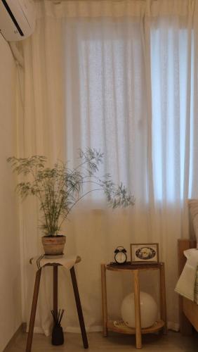 a potted plant sitting on a table in front of a window at 스테이 포제트 in Suwon