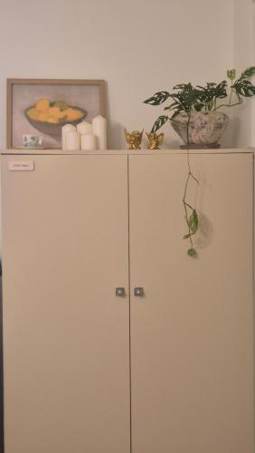 a white cabinet with a plant on top of it at 스테이 포제트 in Suwon