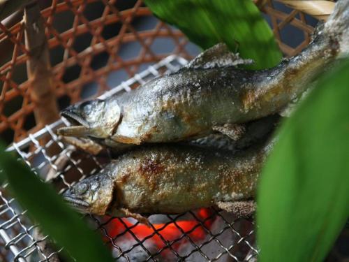 two fish sitting on top of a grill at Myoken Ishiharaso in Kirishima