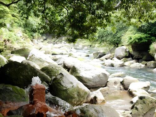 a river with rocks and a fire hydrant in the foreground at Myoken Ishiharaso in Kirishima