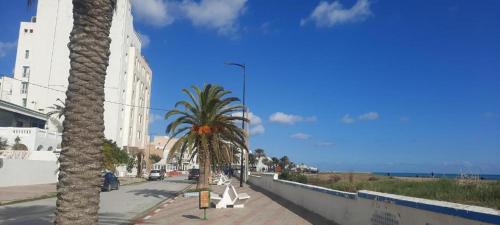 a street with palm trees on the side of a road at Tunisia la Goulette in Tunis