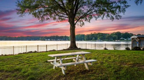 a picnic table under a tree next to a lake at Lakefront Home w Dock Game Room Hot Tub Ponderosa Peninsula by AvantStay in Mayhew