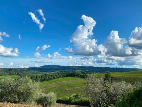 una vista de un campo verde con nubes en el cielo en Idyllic Farmhouse in Gambassi Terme-Fi with Swimming Pool, en Querce