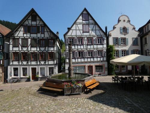 a group of buildings with a fountain in a courtyard at Ferienhaus Schmuckstück in Schiltach