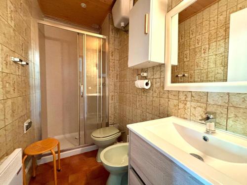 a bathroom with a sink and a toilet and a shower at Apartamentos Meritxell Sherpa in Pas de la Casa