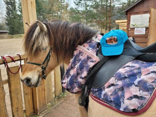 Άλλα ζώα σε αυτό το κατάλυμα σε φάρμα ή στη γύρω περιοχή