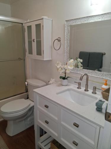 a bathroom with a sink and a toilet and a mirror at Waterfront Cottage in Marco Island