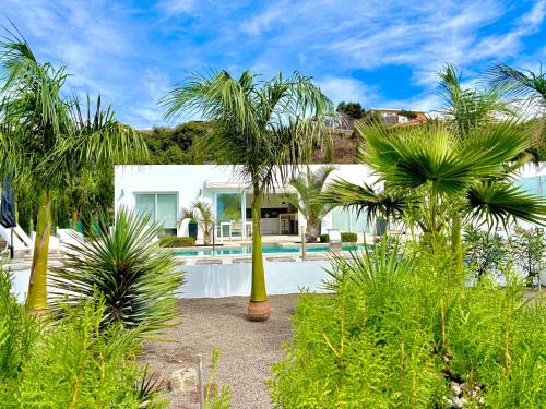 a white house with palm trees in front of it at Casa Tajuya in Los Llanos de Aridane