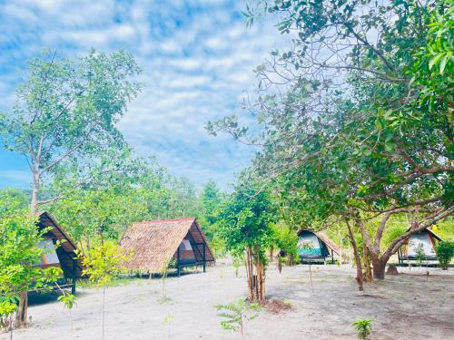 a group of huts in a field with trees at Veha Koh Rong in Kaôh Rŭng