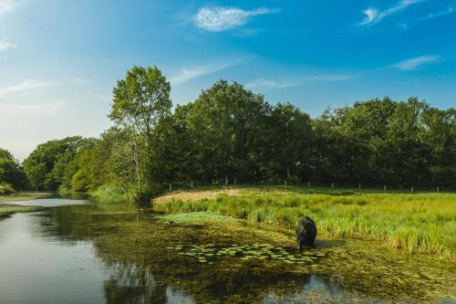 Landskap semula jadi dekat dengan taman percutian