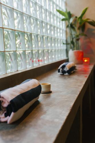 two dolls sitting on a counter in front of a window at Asgard Resort & MMA Gym in General Luna