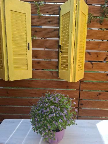 two yellow shutters on a wooden wall with a flower pot at Evanthia maisonette in Chalkida
