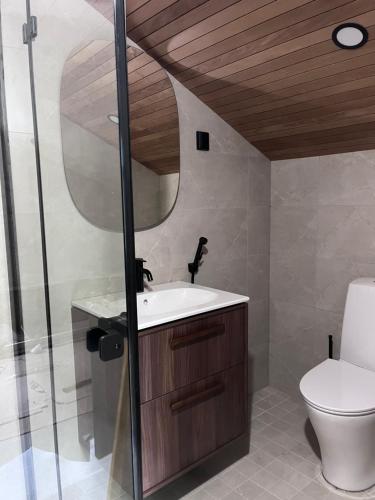 een badkamer met een toilet, een wastafel en een spiegel bij Lapland Dream Destinations in Rovaniemi