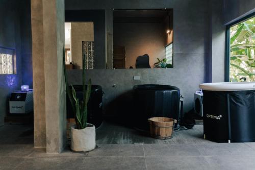 a office with a potted plant in a room at Asgard Resort & MMA Gym in General Luna