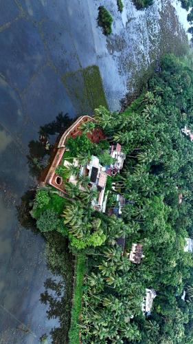 KānnangādにあるSamridhi Lake viewの水辺に広がる木々の空中写真