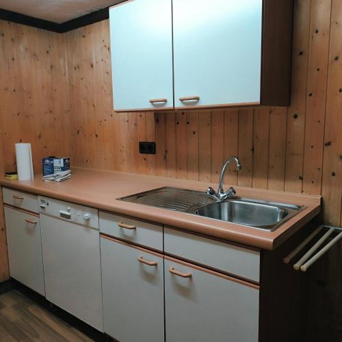 a kitchen with a sink and wooden walls at Apartment Amsterdam - Berlin in Lügde