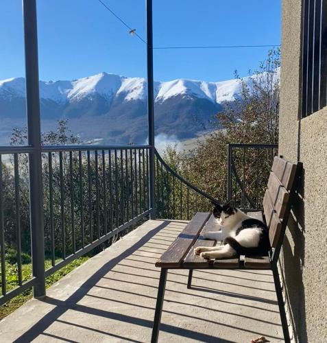 a cat laying on a bench on a balcony with mountains at Dez Guest House, Margahovit, Lori in Margahovit