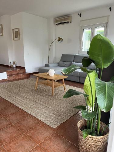 ein Wohnzimmer mit einer Couch und einem Couchtisch in der Unterkunft Villa San Rafael in El Espinar