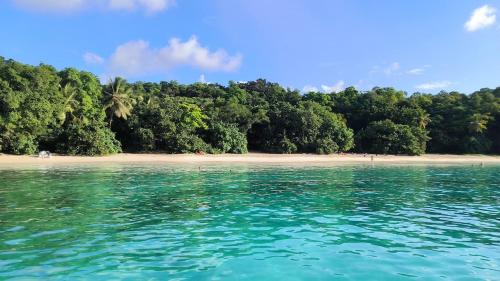 Φυσικό τοπίο κοντά σε αυτό το διαμέρισμα