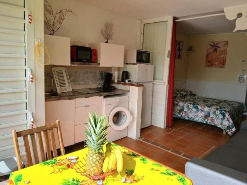 Ảnh trong thư viện ảnh của Anse des Rochers Balisier vue mer ở Saint-François