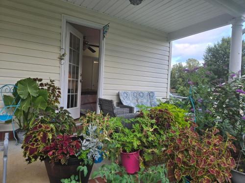 a porch with potted plants on a house at 2066 Hawkins Mill Road in Lynchburg