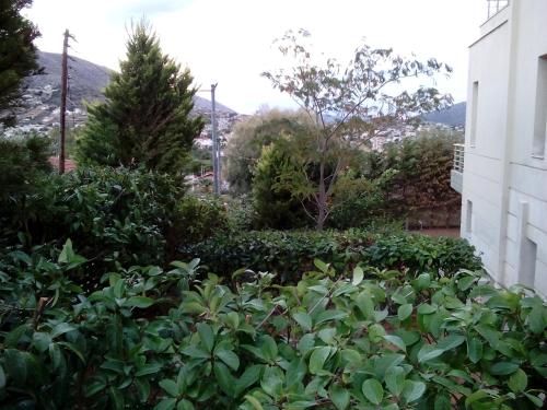 Billede fra billedgalleriet på Harry´s Apartment i Lagonisi