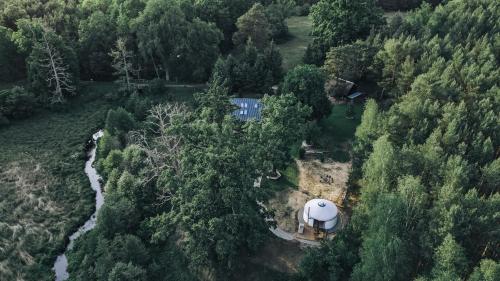 an aerial view of a dome house in the forest at Gajurta in Rudnica