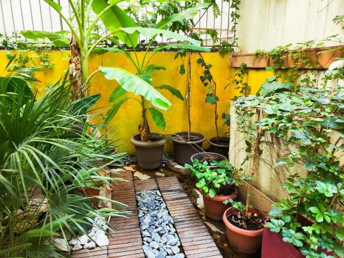 a garden with potted plants and a yellow wall at Ulysses Apartments Acropolis in Athens