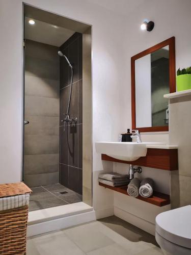 a bathroom with a sink and a shower with a mirror at Studio 207 Ebene Square Apartments in Quatre Bornes