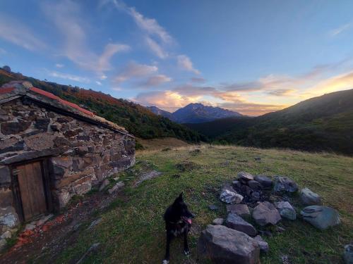 Paesaggio naturale nelle vicinanze dell'appartamento
