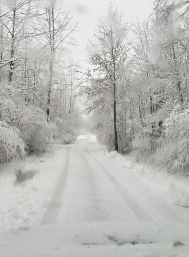 a road covered in snow with trees and bushes at Lakeside Retreat with Hot Tub & Game Room home in Elkhart